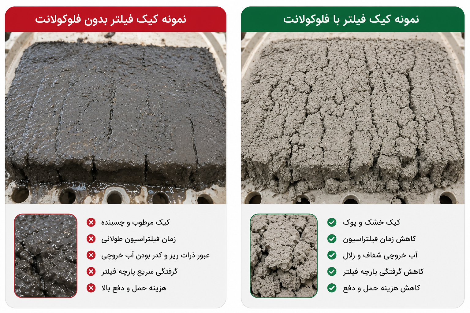 فلوکولانت